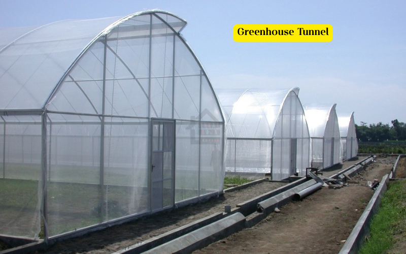 Greenhouse Tunnel
