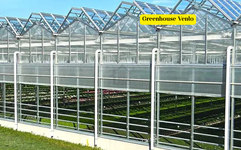 Greenhouse Venlo