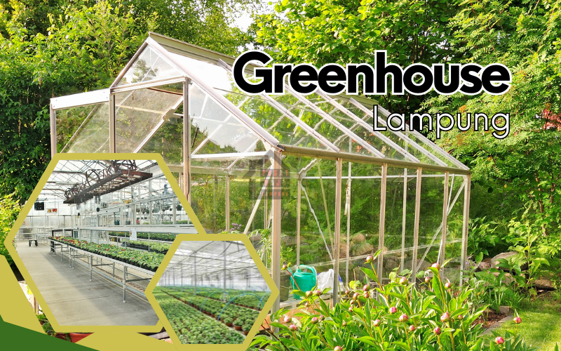 Greenhouse di Lampung