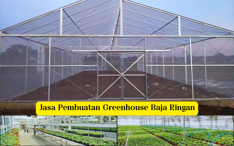 Jasa Pembuatan Greenhouse Baja Ringan